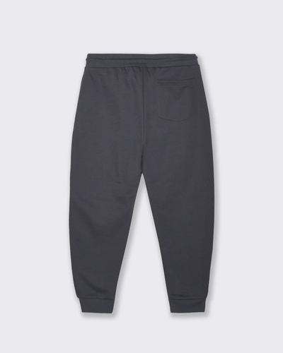 Фото ракурс 2 - Мужские серые штаны Piazza Italia артикул 65307 avion FW2025