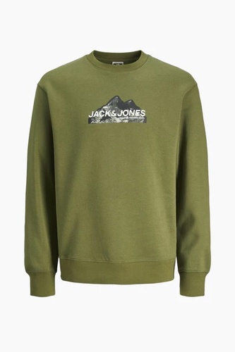 Фото ракурс 1 - Чоловічий зелений світшот Jack & Jones артикул 12262094 Cypress FW2024