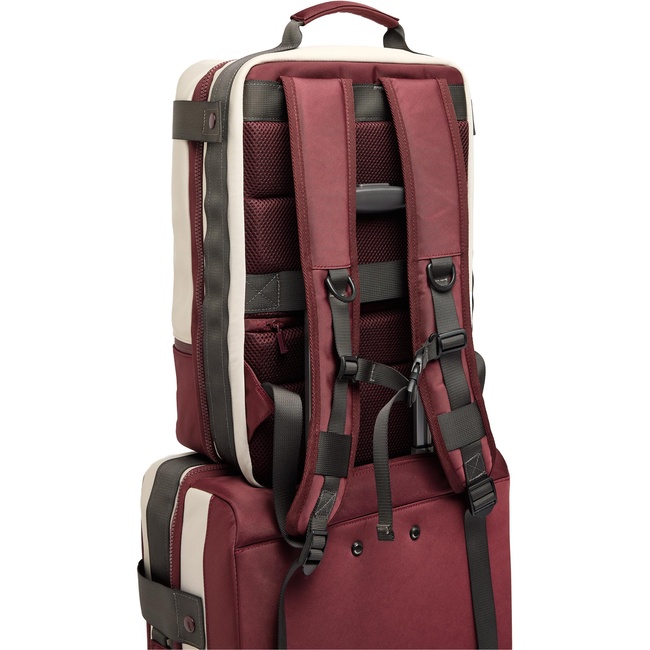 Женский молочный рюкзак Parfois артикул 232746 _EC FW2025 Фото ракурс 4 - Женский молочный рюкзак Parfois артикул 232746 _EC FW2025