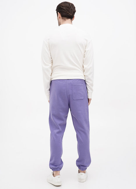 Фото ракурс 2 - Мужские фиолетовые штаны Jack & Jones артикул 12236479 Twilight Purple FW2023