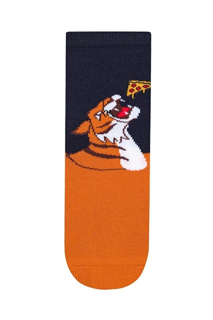 Фото ракурс 2 - Різнокольорові шкарпетки для хлопчиків Penti артикул PHU9JR2E24SK S60 25SS