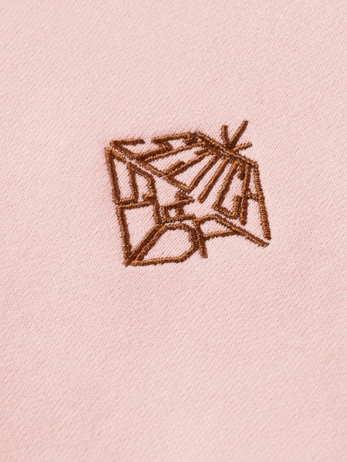 Женский розовый свитшот SCOTCH & SODA артикул U9E00799T U634 FW2025 Фото ракурс 7 - Женский розовый свитшот SCOTCH & SODA артикул U9E00799T U634 FW2025