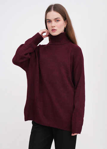 Фото ракурс 1 - Жіночий бордовий светр EQUILIBRI артикул W342 080 000 bordo FW2025