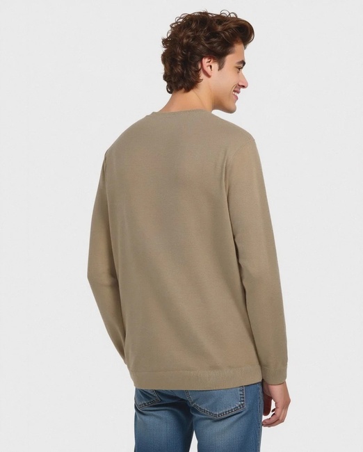 Мужской бежевый джемпер Piazza Italia артикул 64870 Beige FW2025 Фото ракурс 2 - Мужской бежевый джемпер Piazza Italia артикул 64870 Beige FW2025