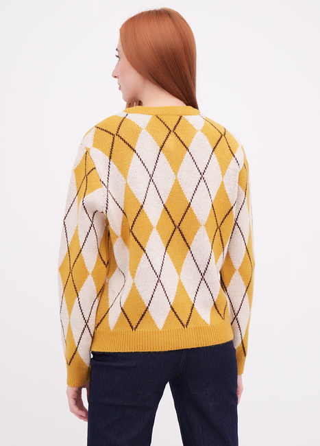 Фото ракурс 2 - Жіночий жовтий кардиган EQUILIBRI артикул W343 009 000 Yellow FW2025