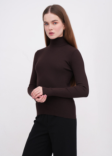 Фото ракурс 1 - Женская коричневая водолазка EQUILIBRI артикул W341 002 000 Brown FW2025