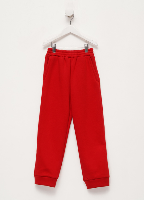 Фото ракурс 1 - Детские красные штаны EQUILIBRI артикул Ki KTL FL Jogger Red FW2023