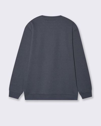 Фото ракурс 2 - Мужской серый свитшот Piazza Italia артикул 63035 avion FW2025