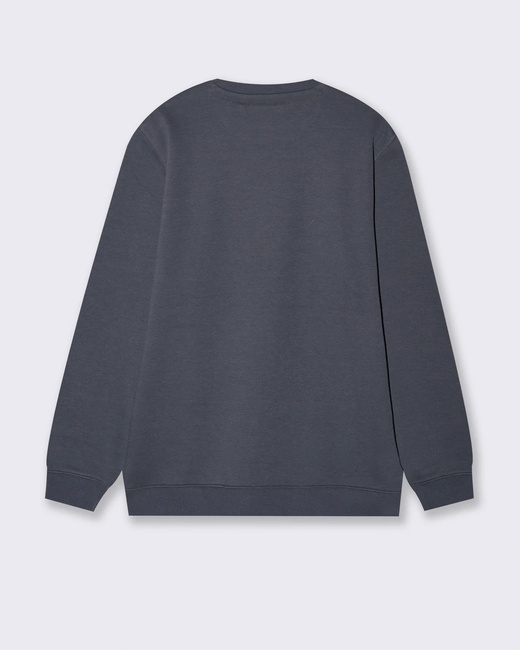 Фото ракурс 2 - Мужской серый свитшот Piazza Italia артикул 63035 avion FW2025