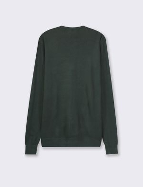 Фото ракурс 2 - Мужской зелёный джемпер Piazza Italia артикул 85676 Green FW2024