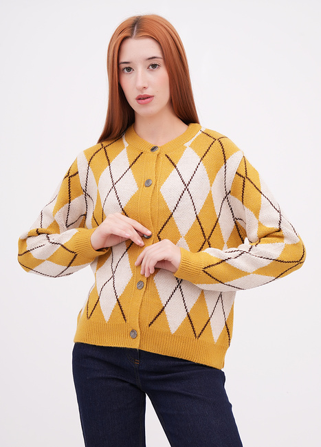 Фото ракурс 1 - Жіночий жовтий кардиган EQUILIBRI артикул W343 009 000 Yellow FW2025