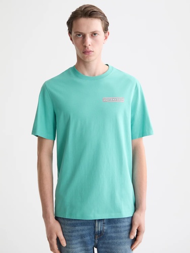 Фото ракурс 1 - Мужская зеленая футболка SCOTCH & SODA артикул 182381 300 FW2025