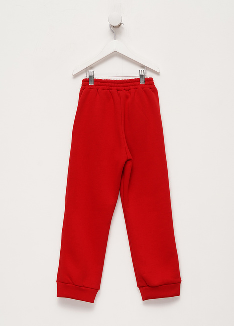 Фото ракурс 2 - Детские красные штаны EQUILIBRI артикул Ki KTL FL Jogger Red FW2023
