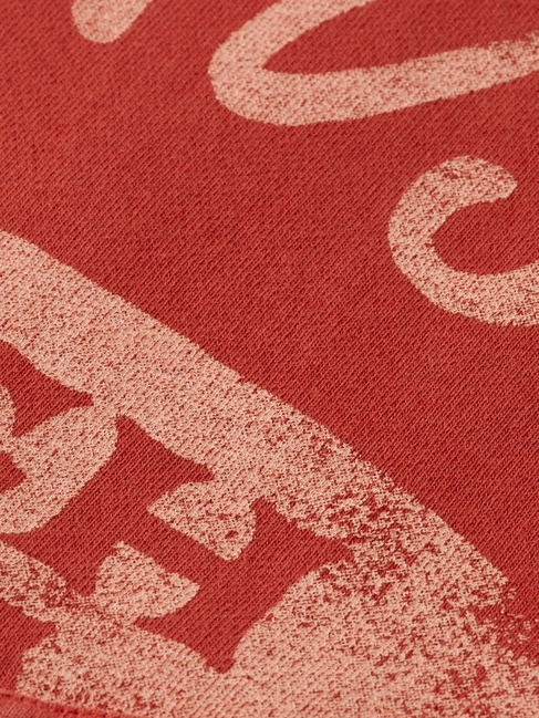 Фото ракурс 6 - Чоловіче червонe худі SCOTCH & SODA артикул 181283 610 FW2025