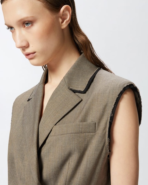 Фото ракурс 3 - Жіночий коричневий жилет Pinko артикул 104755-A2BQ L67 SS2025