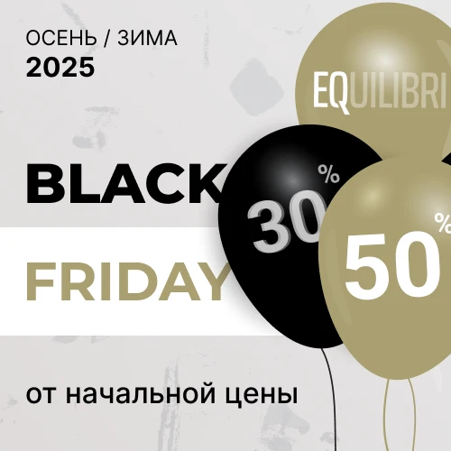 Баннер акции 1x1 - «Black Friday» дополнительная скидка -30% -50% від EQUILIBRI