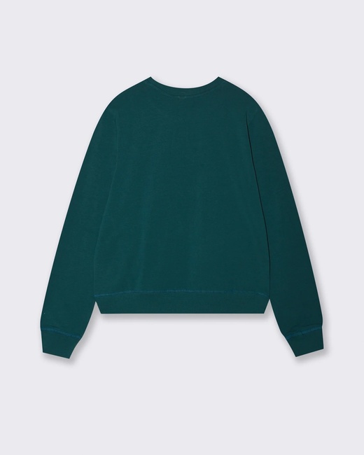 Жіночий зелений світшот Piazza Italia артикул 62302 ottanio FW2025 Фото ракурс 2 - Жіночий зелений світшот Piazza Italia артикул 62302 ottanio FW2025