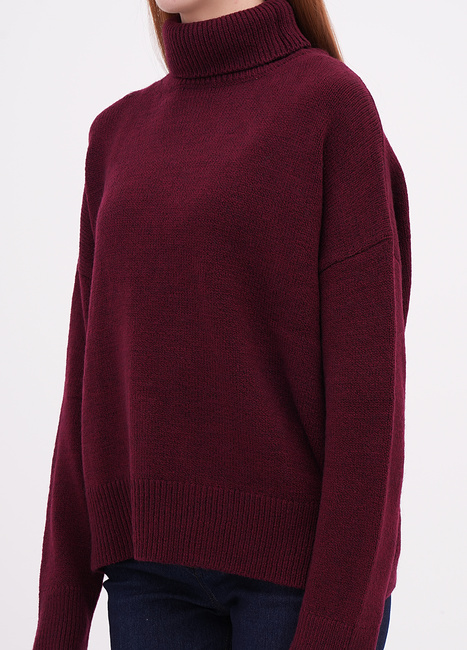 Фото ракурс 3 - Жіночий бордовий светр EQUILIBRI артикул W342 060 000 bordo FW2025