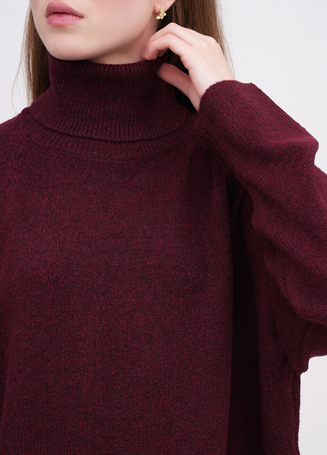 Фото ракурс 4 - Жіночий бордовий светр EQUILIBRI артикул W342 080 000 bordo FW2025