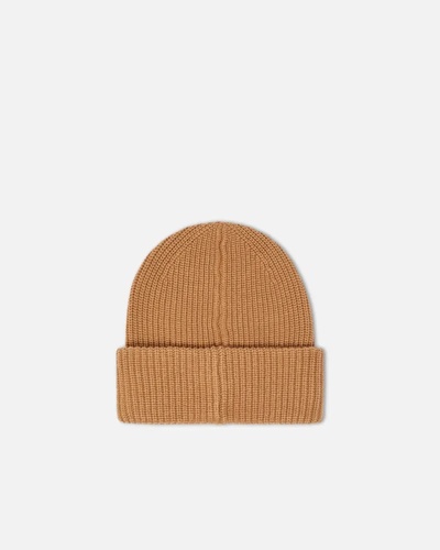 Фото ракурс 2 - Женская бежевая шапка Pinko артикул 105993-A2Z4 D23 FW2025