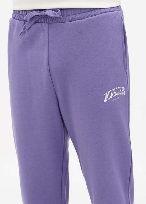 Фото ракурс 3 - Мужские фиолетовые штаны Jack & Jones артикул 12236479 Twilight Purple FW2023