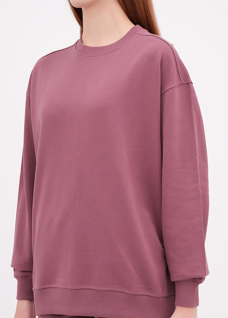 Фото ракурс 3 - Жіночий рожевий світшот EQUILIBRI артикул W291 041 100 Frez FW2025