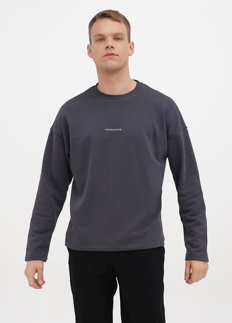 Фото ракурс 1 - Мужской серый свитшот EQUILIBRI артикул M OD Sweatshirt Mono OV FUME SS2024