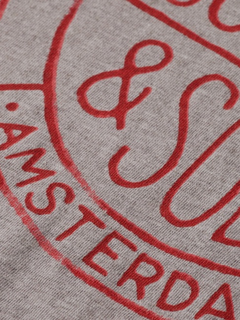 Жіноча сіра футболка SCOTCH & SODA артикул U9A00808T U031 FW2025 Фото ракурс 7 - Жіноча сіра футболка SCOTCH & SODA артикул U9A00808T U031 FW2025