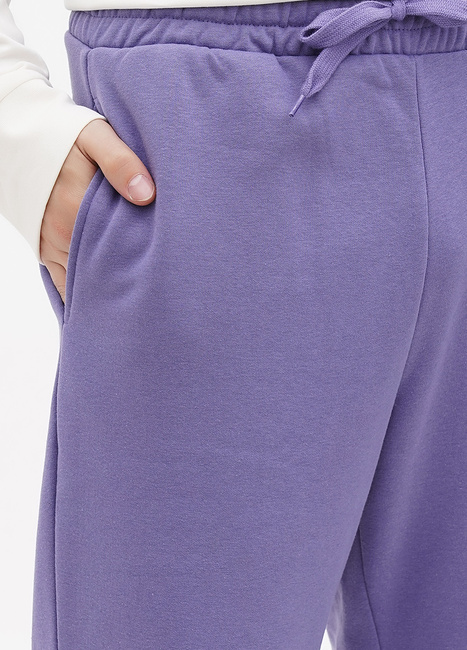 Фото ракурс 4 - Мужские фиолетовые штаны Jack & Jones артикул 12236479 Twilight Purple FW2023