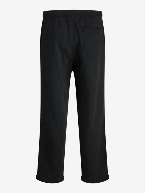 Чоловічі чорні штани Jack & Jones артикул 12278925 Black FW2025 Фото ракурс 2 - Чоловічі чорні штани Jack & Jones артикул 12278925 Black FW2025