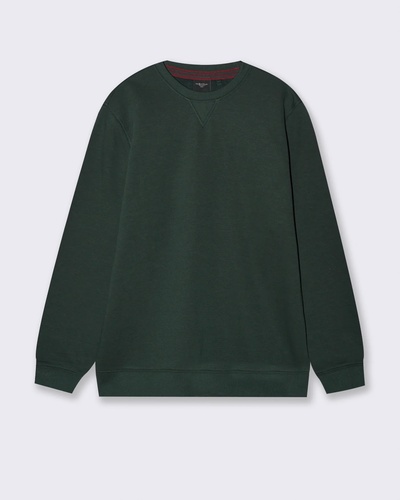 Фото ракурс 1 - Мужской зеленый свитшот Piazza Italia артикул 63035 Dark green FW2025