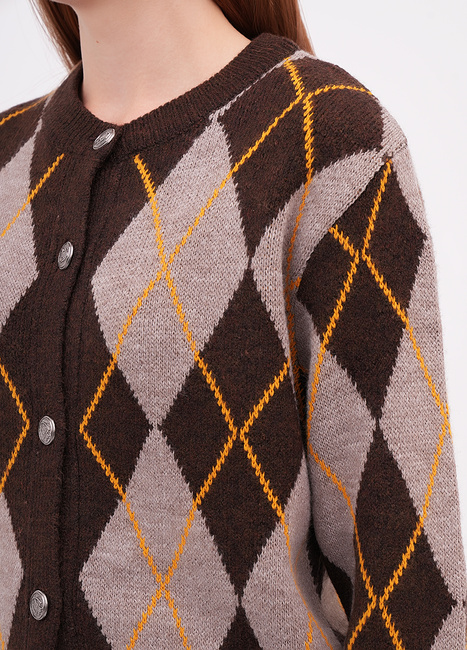 Жіночий коричневий кардиган EQUILIBRI артикул W343 009 000 Brown FW2025 Фото ракурс 4 - Жіночий коричневий кардиган EQUILIBRI артикул W343 009 000 Brown FW2025