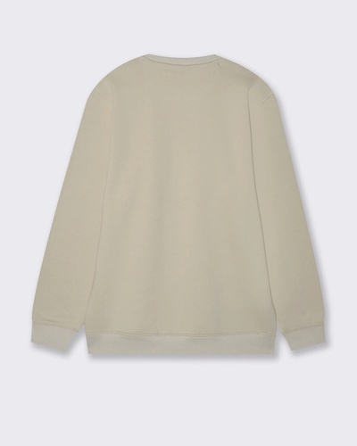 Фото ракурс 2 - Мужской бежевый свитшот Piazza Italia артикул 63035 Ice grey FW2025