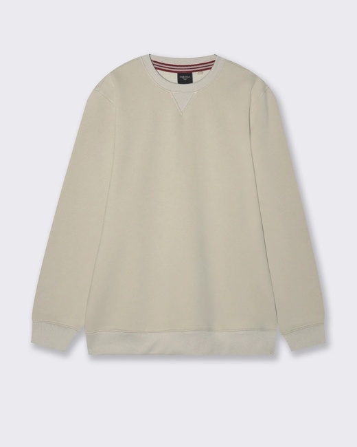 Мужской бежевый свитшот Piazza Italia артикул 63035 Ice grey FW2025 Фото ракурс 1 - Мужской бежевый свитшот Piazza Italia артикул 63035 Ice grey FW2025