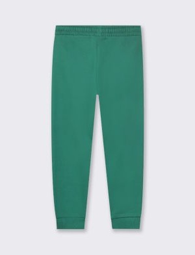 Фото ракурс 2 - Зелёные штаны Piazza Italia для мальчиков артикул 76034 Green FW2024