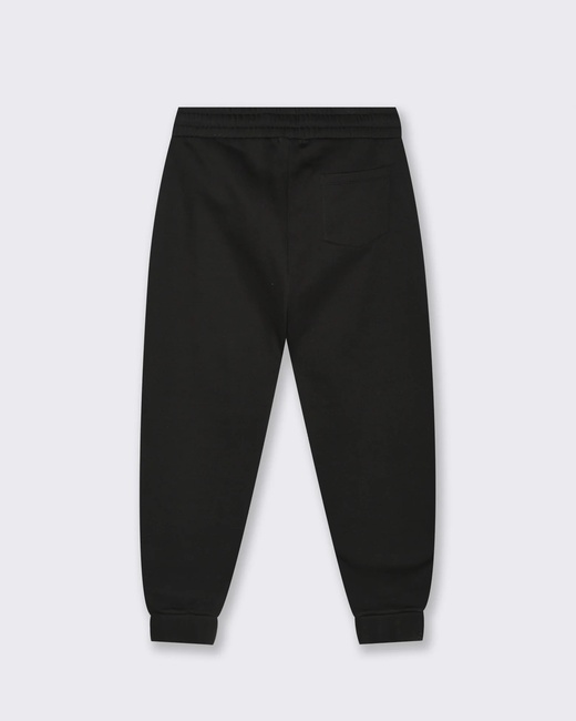 Фото ракурс 2 - Чоловічі чорні штани Piazza Italia артикул 65308 Black FW2025