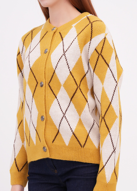 Фото ракурс 3 - Жіночий жовтий кардиган EQUILIBRI артикул W343 009 000 Yellow FW2025