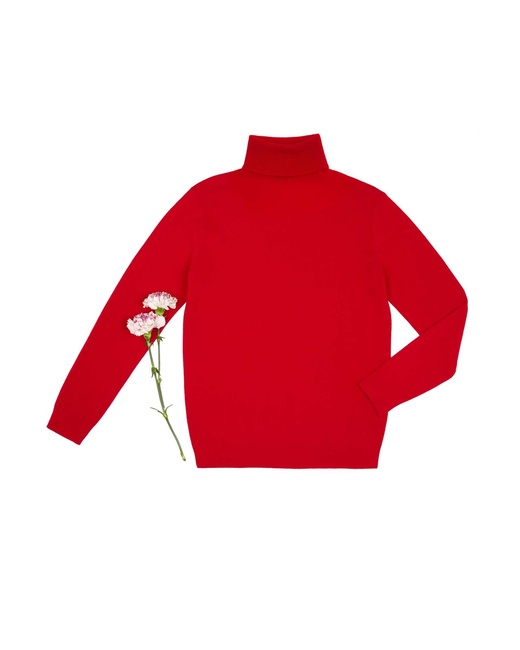 Мужская красная водолазка Benetton артикул 1002U2180 015 25A Фото ракурс 4 - Мужская красная водолазка Benetton артикул 1002U2180 015 25A