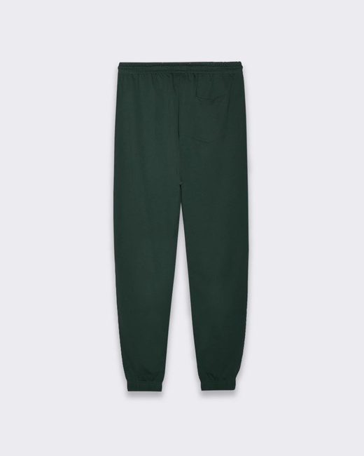 Чоловічі зелені штани Piazza Italia артикул 63003 Dark green FW2025 Фото ракурс 2 - Чоловічі зелені штани Piazza Italia артикул 63003 Dark green FW2025